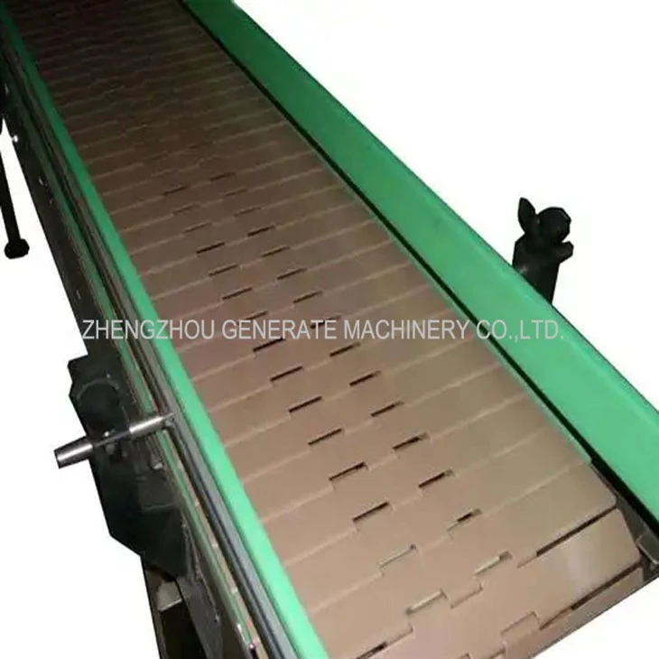 Plastic Slat Chain Conveyor